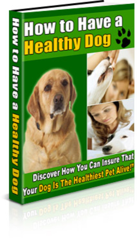 Product picture Keep Your Dog Healthy and Happy